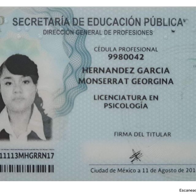 Ampliar imagen: certificate 3