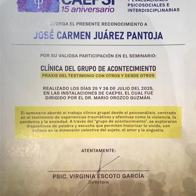 Ampliar imagen: certificate 3