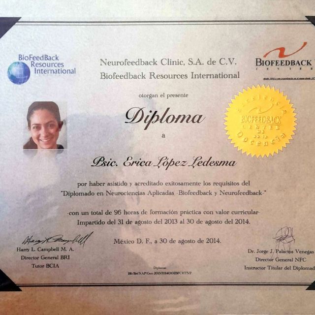 Ampliar imagen: certificate 3