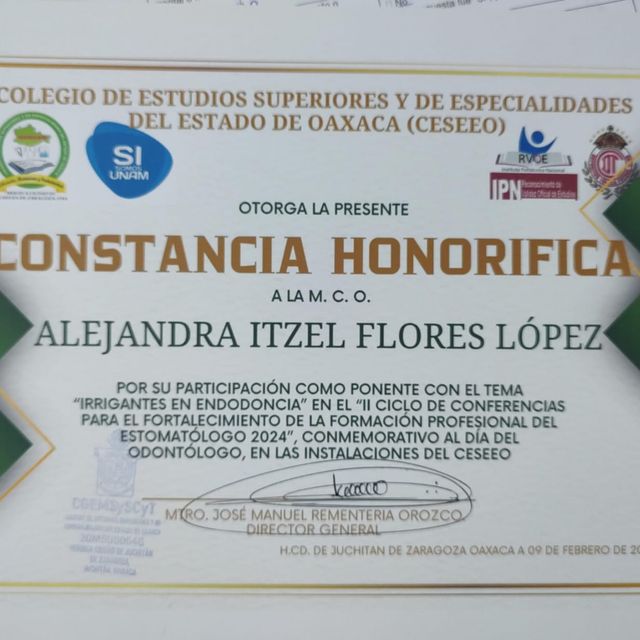 Ampliar imagen: certificate 6