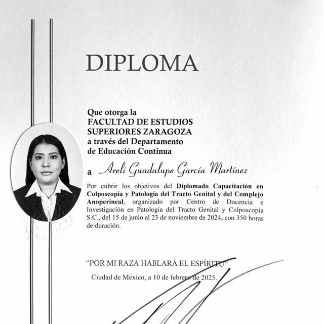 Ampliar imagen: certificate 6
