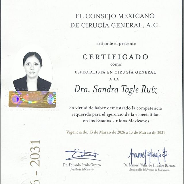 Ampliar imagen: certificate 5