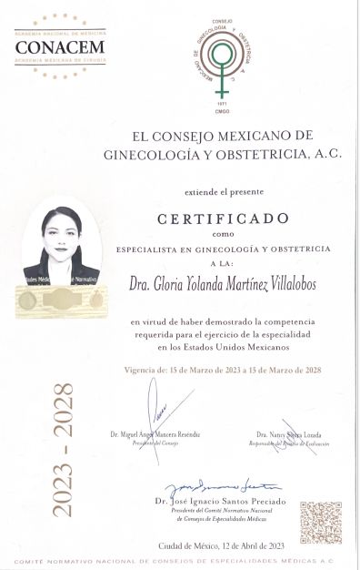 Ampliar imagen: certificate 1