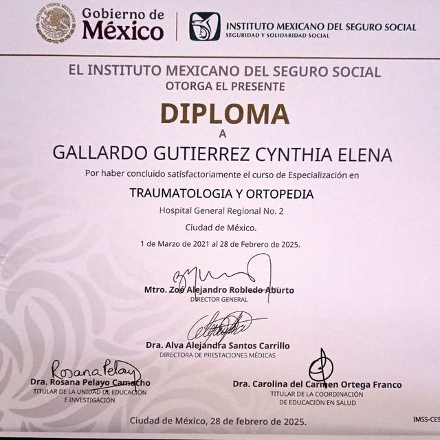 Ampliar imagen: certificate 2
