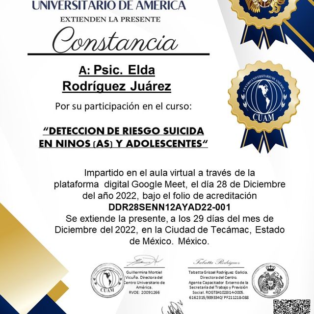 Ampliar imagen: certificate 2