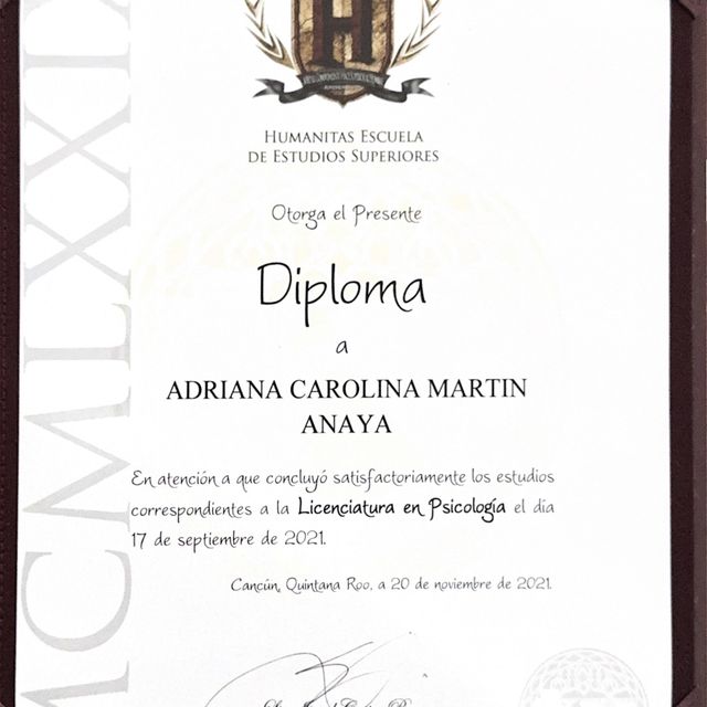 Ampliar imagen: certificate 2
