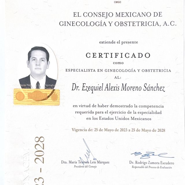 Ampliar imagen: certificate 2