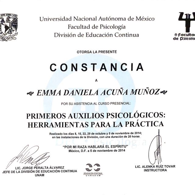 Ampliar imagen: certificate 6