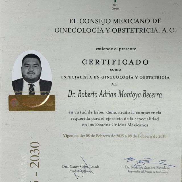 Ampliar imagen: certificate 1