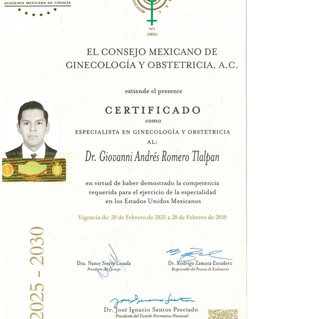 Ampliar imagen: certificate 5