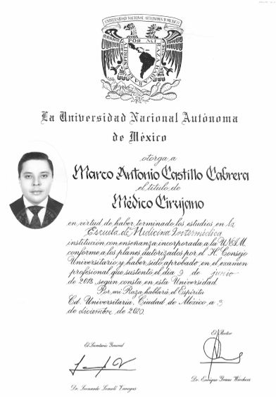 Ampliar imagen: certificate 2