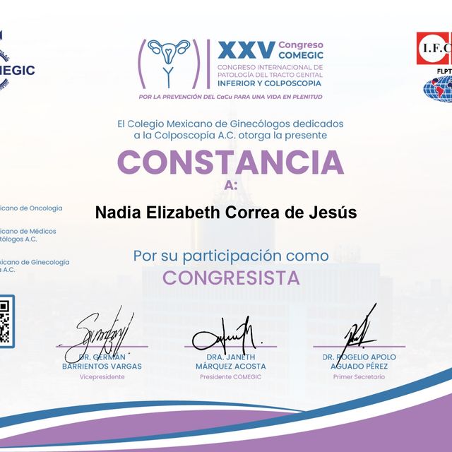 Ampliar imagen: certificate 5