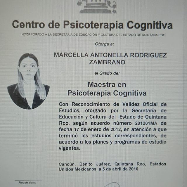 Ampliar imagen: certificate 2