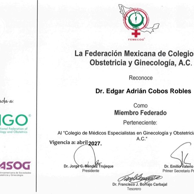 Ampliar imagen: certificate 9