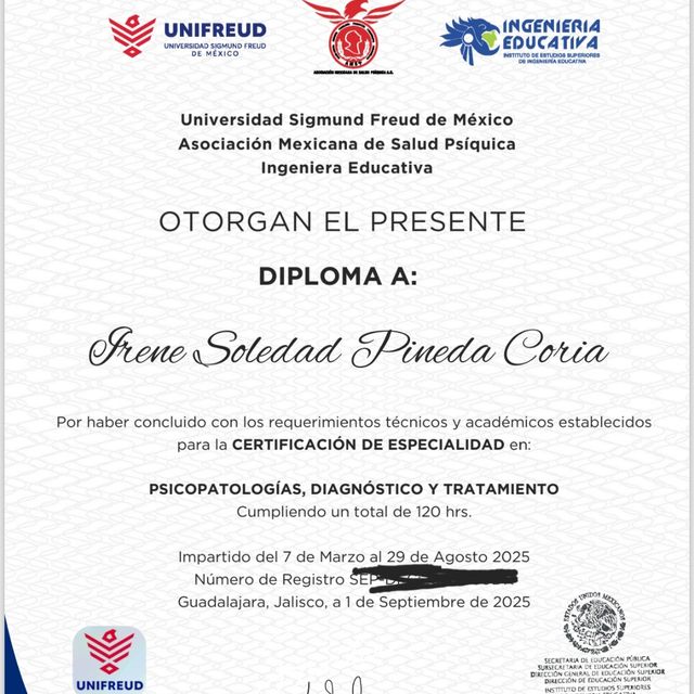 Ampliar imagen: certificate 6