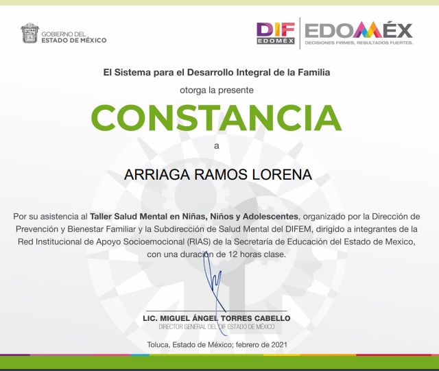 Ampliar imagen: certificate 3