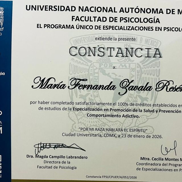 Ampliar imagen: certificate 1