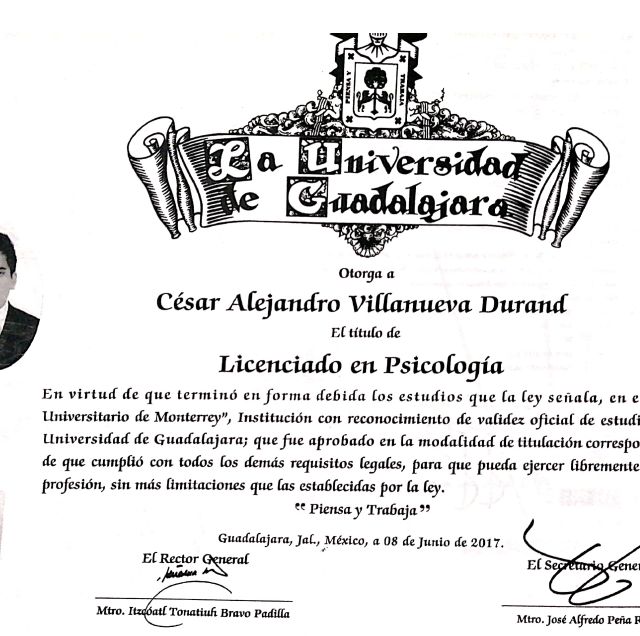 Ampliar imagen: certificate 8