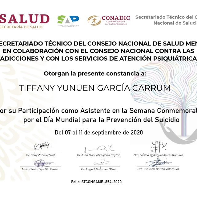 Ampliar imagen: certificate 2