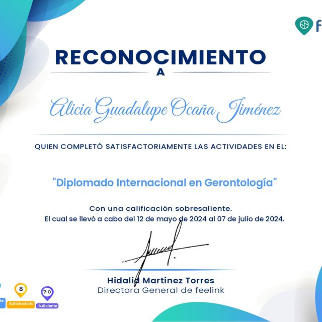 Ampliar imagen: certificate 4