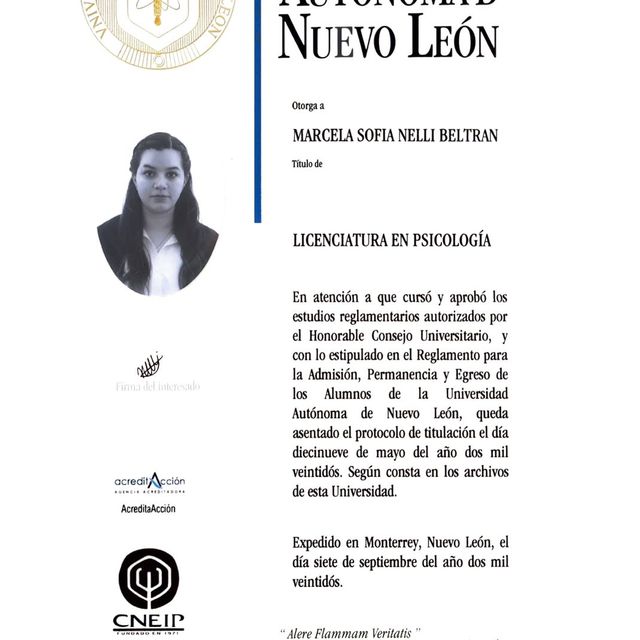 Ampliar imagen: certificate 1