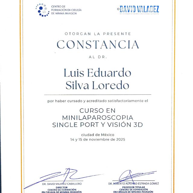 Ampliar imagen: certificate 9