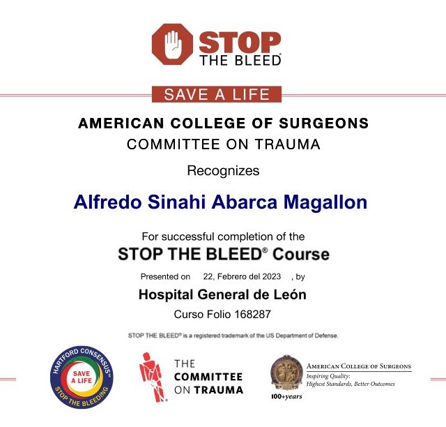 Ampliar imagen: certificate 4