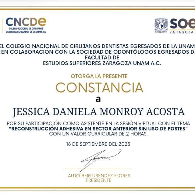 Ampliar imagen: certificate 3