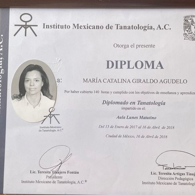 Ampliar imagen: certificate 1