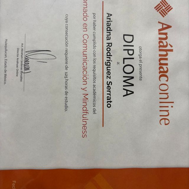 Ampliar imagen: certificate 4