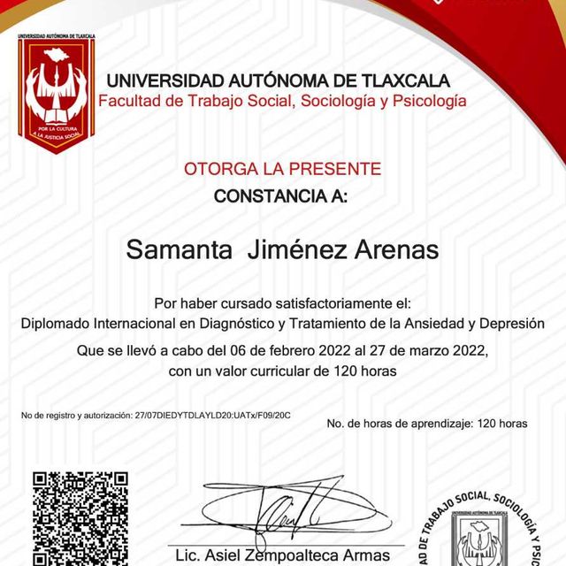Ampliar imagen: certificate 7