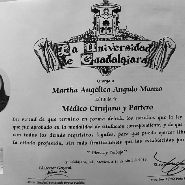 Ampliar imagen: certificate 3