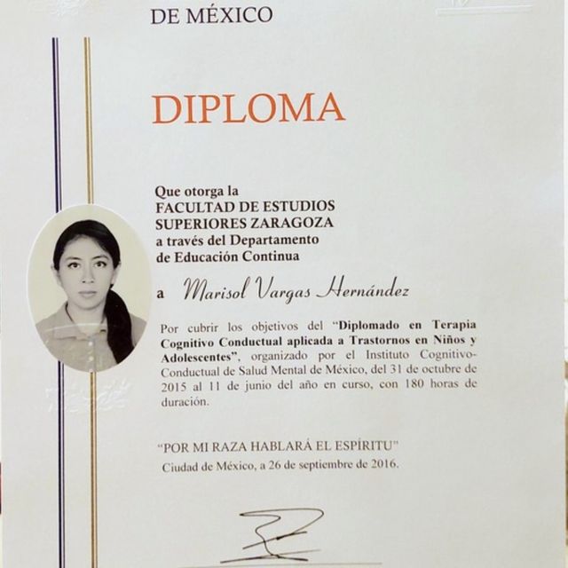 Ampliar imagen: certificate 10