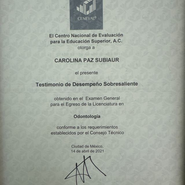 Ampliar imagen: certificate 3