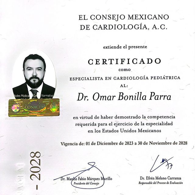 Ampliar imagen: certificate 1