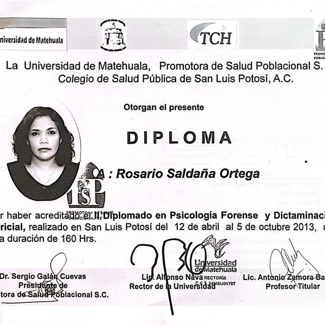 Ampliar imagen: certificate 13