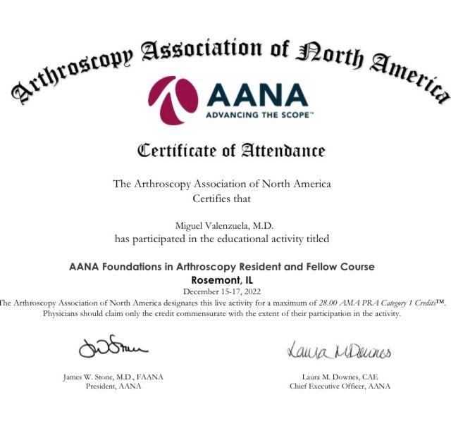 Ampliar imagen: certificate 1