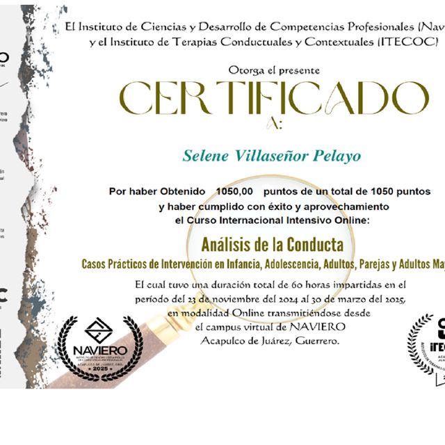 Ampliar imagen: certificate 21