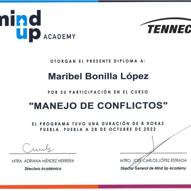 Ampliar imagen: certificate 5