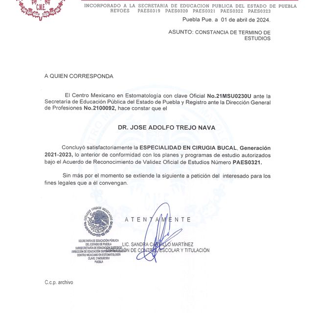 Ampliar imagen: certificate 3