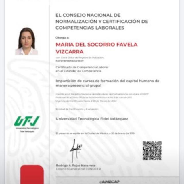 Ampliar imagen: certificate 3