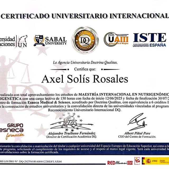 Ampliar imagen: certificate 19