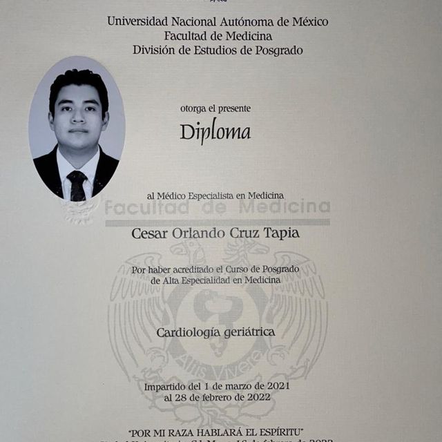 Ampliar imagen: certificate 3