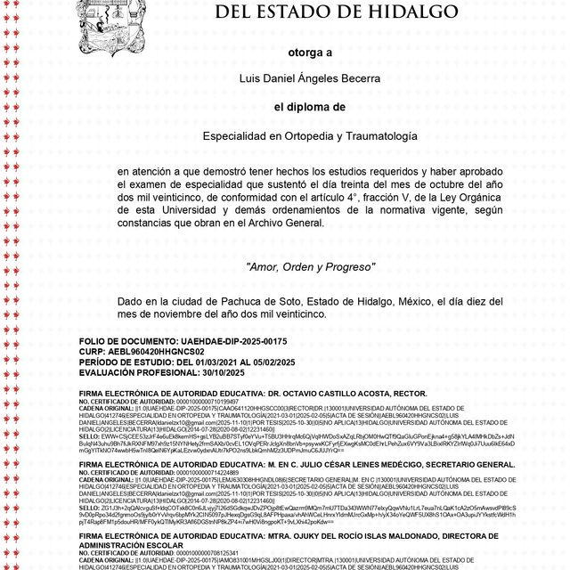 Ampliar imagen: certificate 4