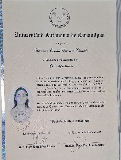 Ampliar imagen: certificate 3