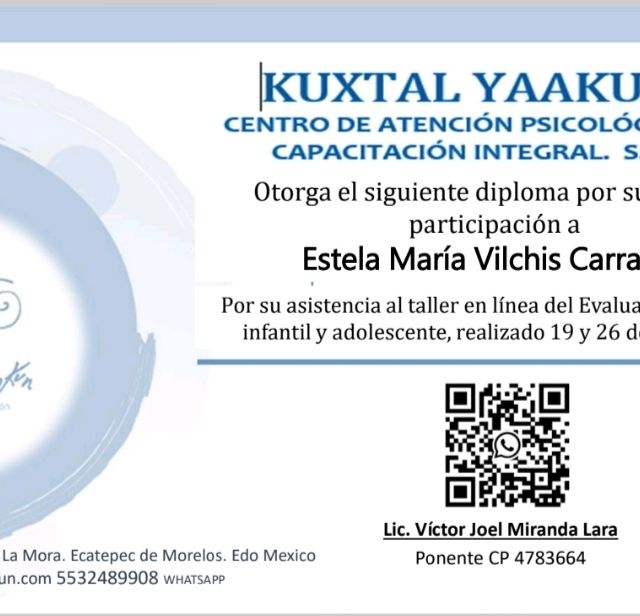 Ampliar imagen: certificate 1