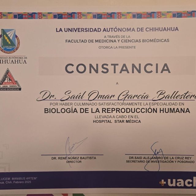 Ampliar imagen: certificate 3