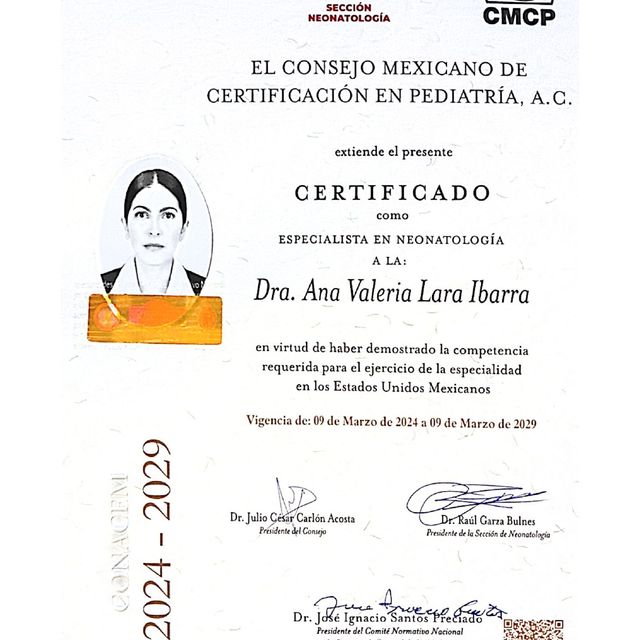Ampliar imagen: certificate 3