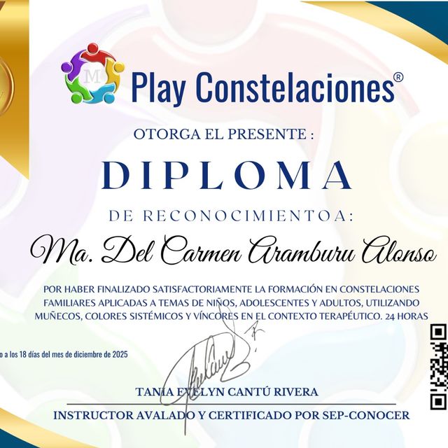 Ampliar imagen: certificate 8