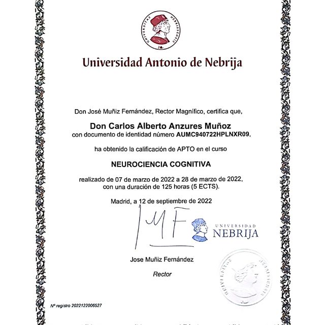 Ampliar imagen: certificate 19